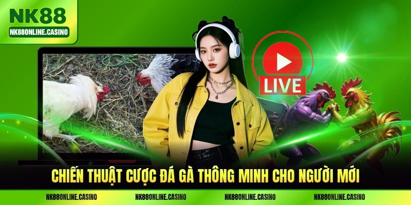 Chiến thuật cược đá gà thông minh cho người mới