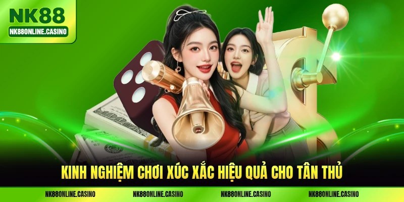 Kinh nghiệm chơi xúc xắc hiệu quả cho tân thủ
